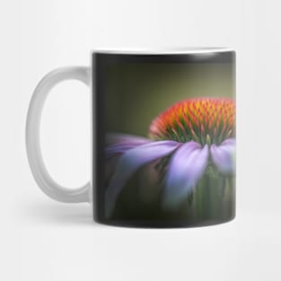 Echinacea flower close-up Mug